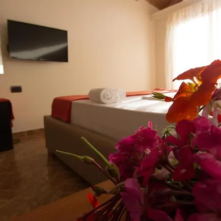 Paradise 4*