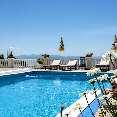 Paradise 4* Лукове