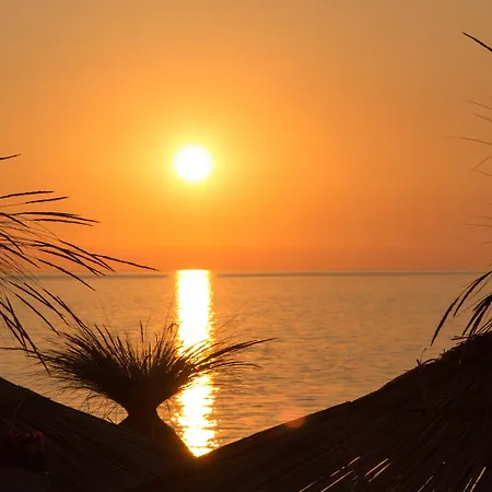 Paradise Отель 4*